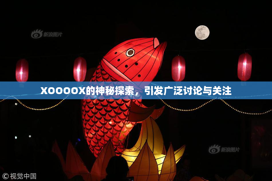 XOOOOX的神秘探索，引发广泛讨论与关注