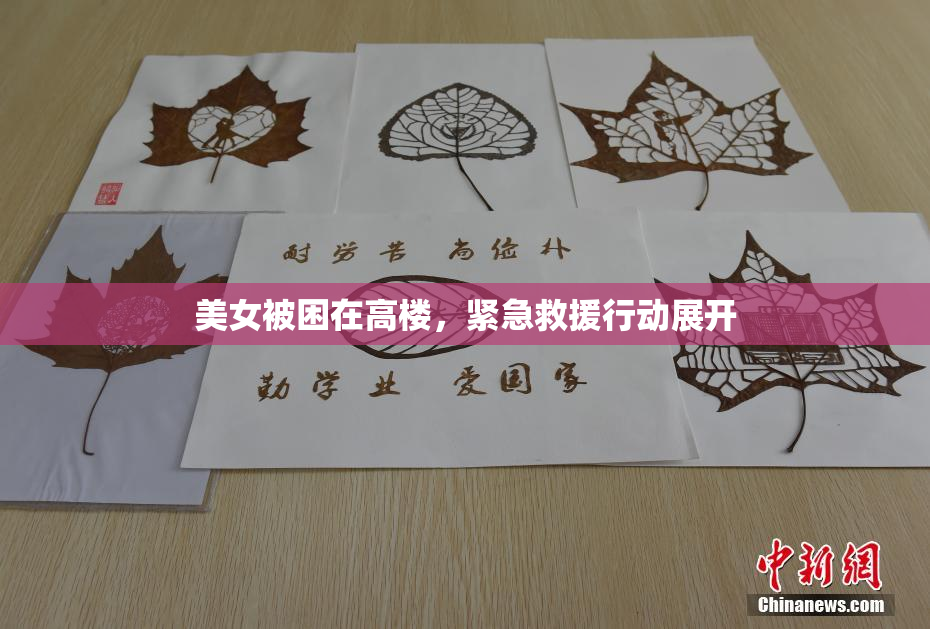 美女被困在高楼，紧急救援行动展开