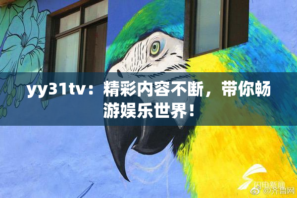 yy31tv：精彩内容不断，带你畅游娱乐世界！