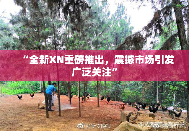 “全新XN重磅推出，震撼市场引发广泛关注”