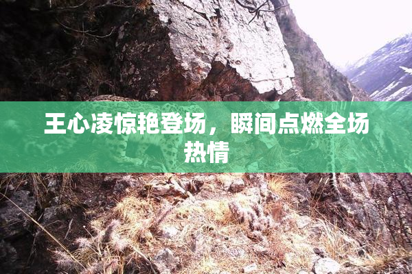 王心凌惊艳登场，瞬间点燃全场热情