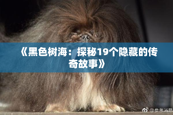 《黑色树海：探秘19个隐藏的传奇故事》