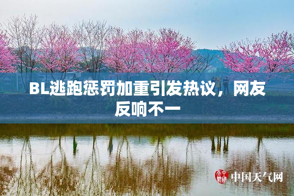 BL逃跑惩罚加重引发热议，网友反响不一