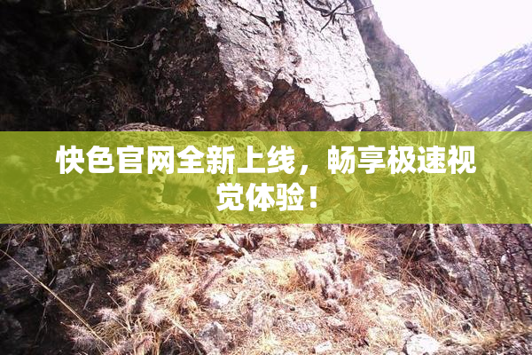 快色官网全新上线，畅享极速视觉体验！