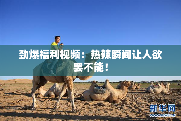 劲爆福利视频：热辣瞬间让人欲罢不能！