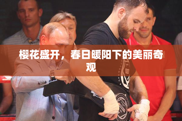 樱花盛开，春日暖阳下的美丽奇观