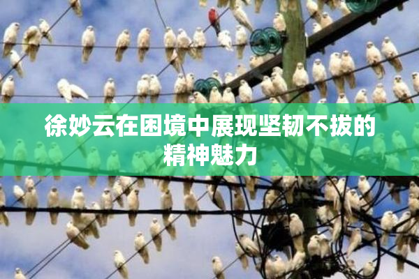 徐妙云在困境中展现坚韧不拔的精神魅力