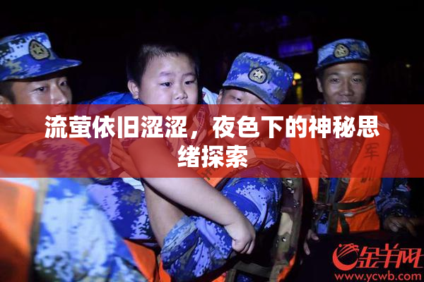 流萤依旧涩涩，夜色下的神秘思绪探索