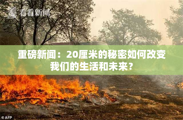 重磅新闻：20厘米的秘密如何改变我们的生活和未来？