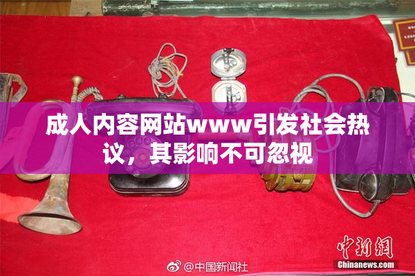 成人内容网站www引发社会热议，其影响不可忽视