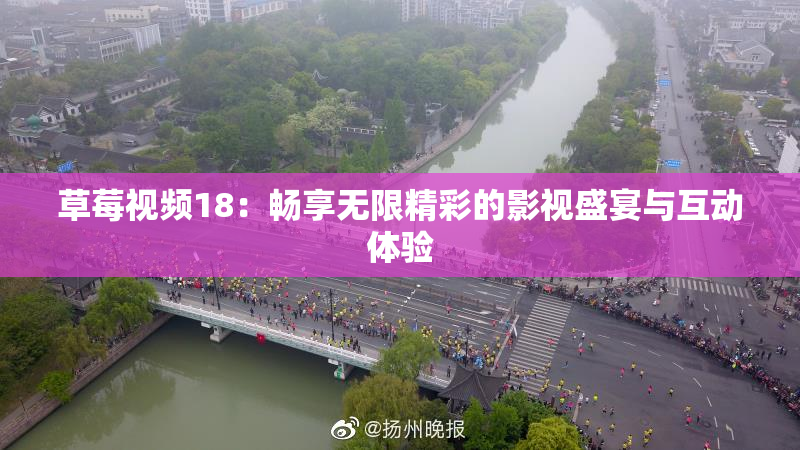 草莓视频18：畅享无限精彩的影视盛宴与互动体验