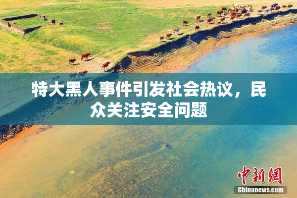 特大黑人事件引发社会热议，民众关注安全问题