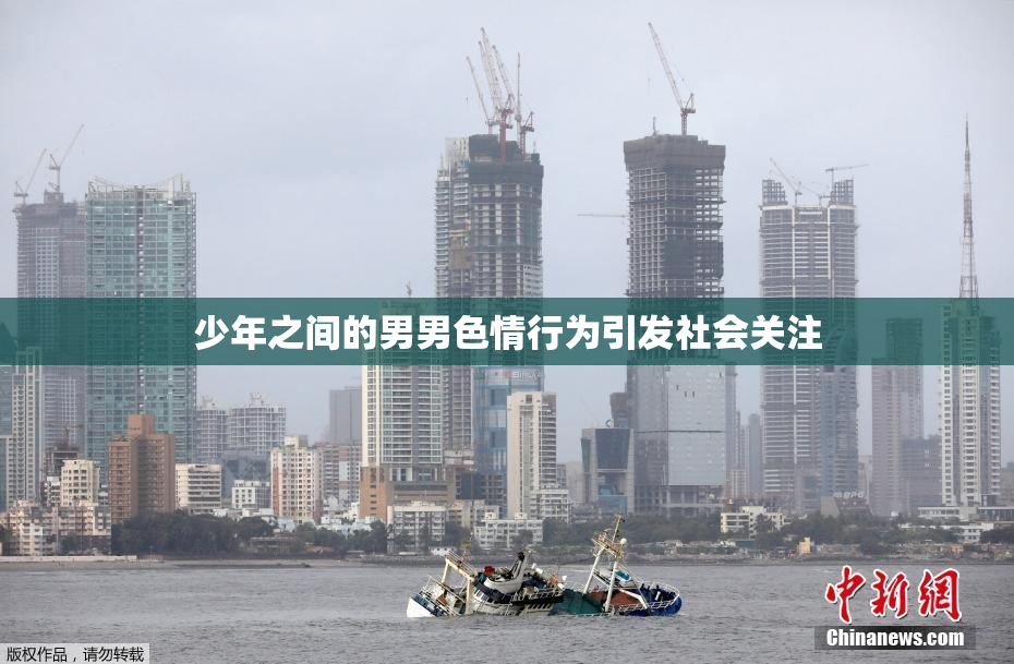 少年之间的男男色情行为引发社会关注