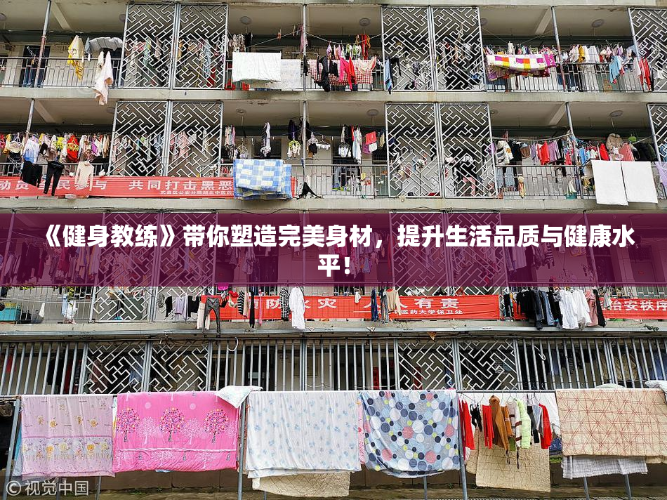 《健身教练》带你塑造完美身材，提升生活品质与健康水平！