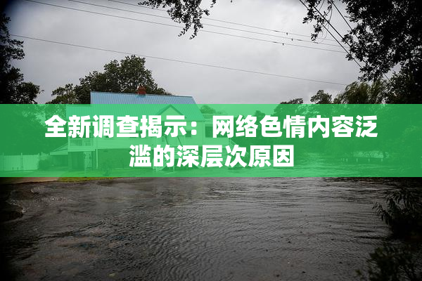 全新调查揭示：网络色情内容泛滥的深层次原因