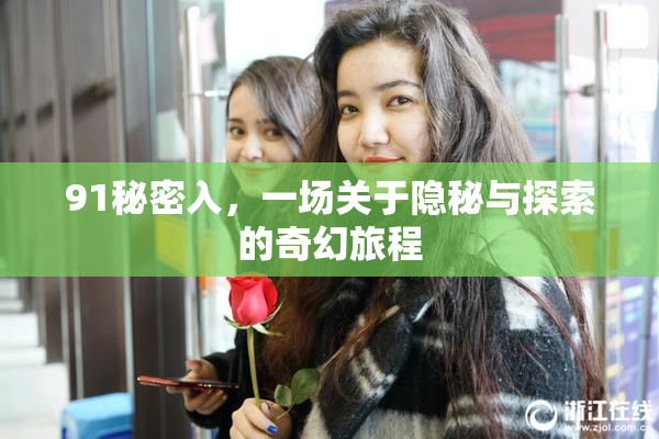 91秘密入，一场关于隐秘与探索的奇幻旅程