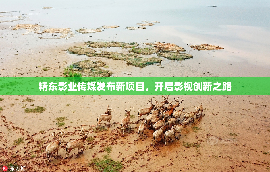 精东影业传媒发布新项目，开启影视创新之路