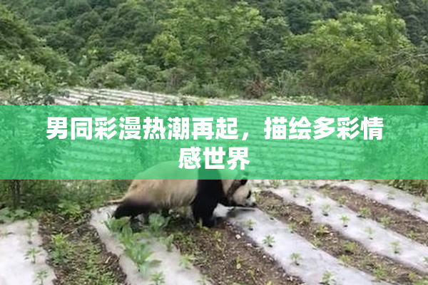 男同彩漫热潮再起，描绘多彩情感世界