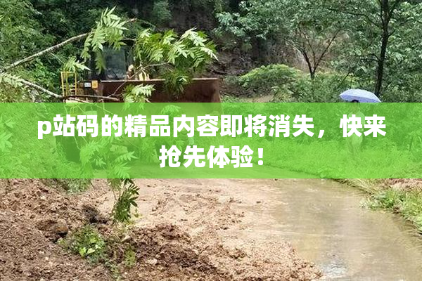 p站码的精品内容即将消失，快来抢先体验！