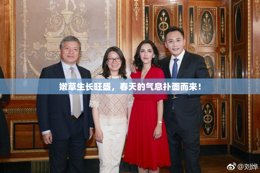 嫩草生长旺盛，春天的气息扑面而来！