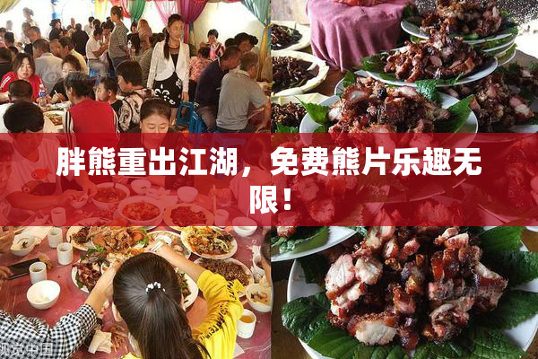 胖熊重出江湖，免费熊片乐趣无限！