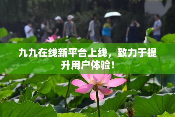 九九在线新平台上线，致力于提升用户体验！