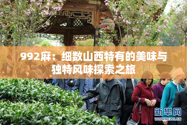 992麻：细数山西特有的美味与独特风味探索之旅