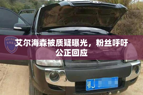 艾尔海森被质疑曝光，粉丝呼吁公正回应