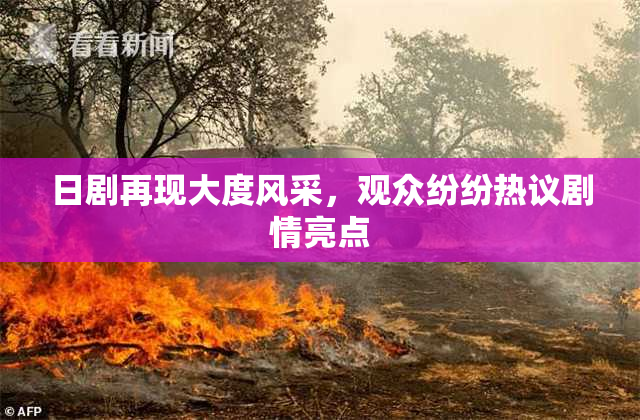 日剧再现大度风采，观众纷纷热议剧情亮点