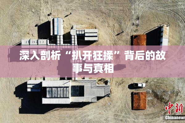 深入剖析“扒开狂揉”背后的故事与真相