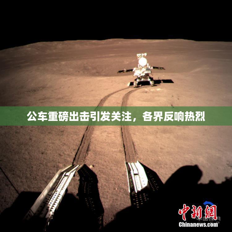 公车重磅出击引发关注，各界反响热烈