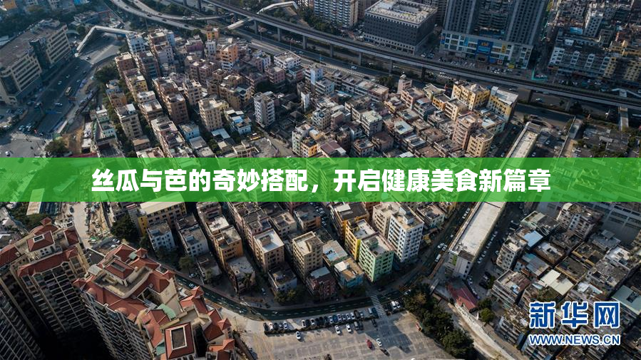 丝瓜与芭的奇妙搭配，开启健康美食新篇章
