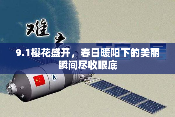 9.1樱花盛开，春日暖阳下的美丽瞬间尽收眼底