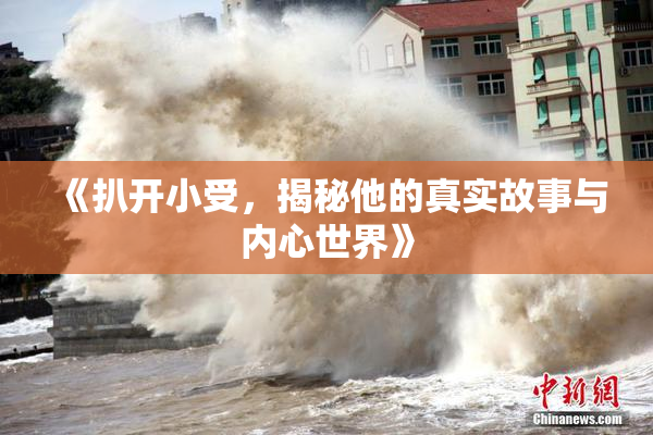 《扒开小受，揭秘他的真实故事与内心世界》