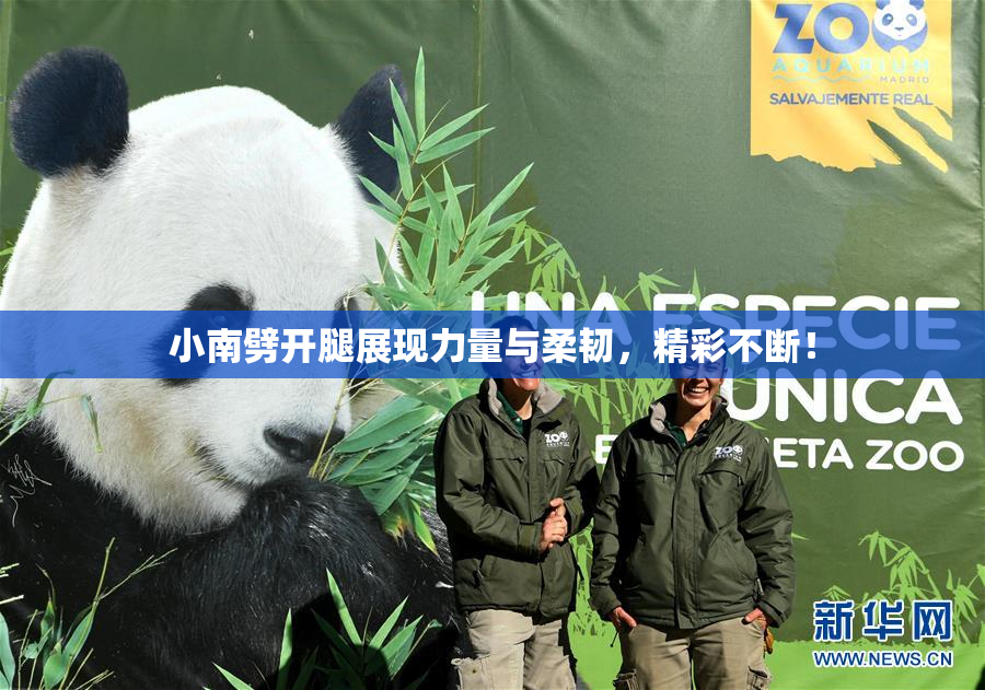 小南劈开腿展现力量与柔韧，精彩不断！