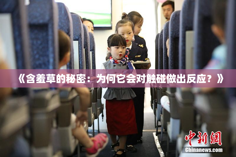 《含羞草的秘密：为何它会对触碰做出反应？》