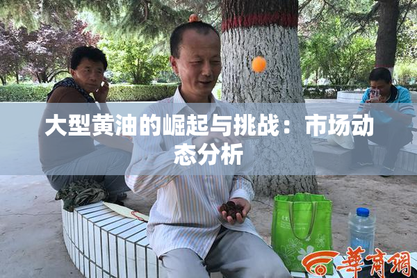 大型黄油的崛起与挑战：市场动态分析