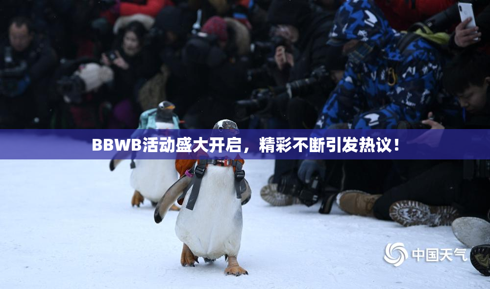 BBWB活动盛大开启，精彩不断引发热议！