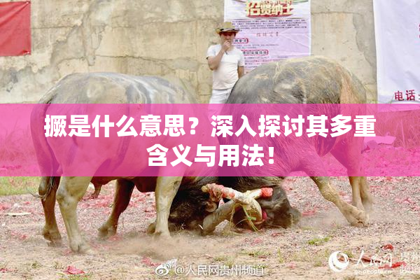 撅是什么意思？深入探讨其多重含义与用法！