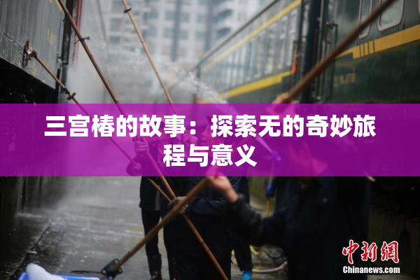 三宫椿的故事：探索无的奇妙旅程与意义