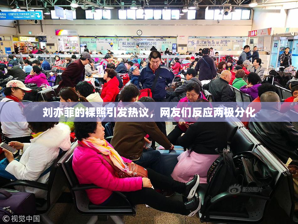 刘亦菲的裸照引发热议，网友们反应两极分化