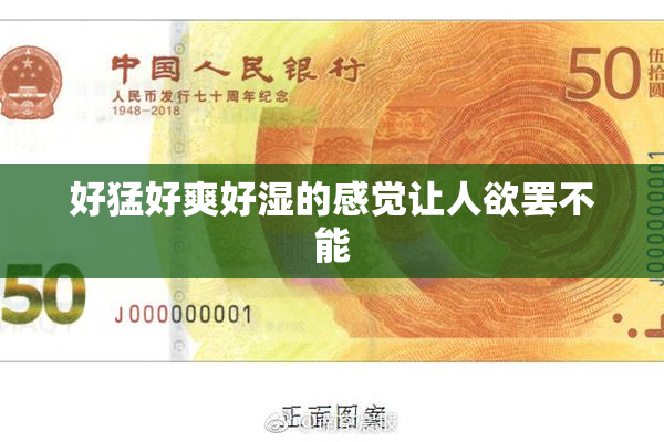 好猛好爽好湿的感觉让人欲罢不能