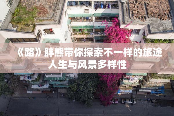 《路》胖熊带你探索不一样的旅途人生与风景多样性