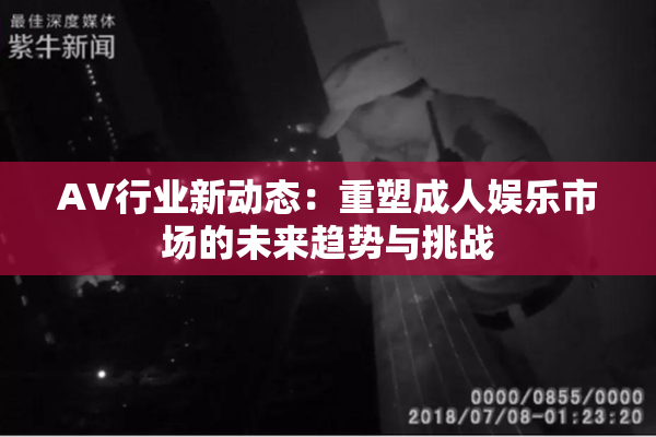 AV行业新动态：重塑成人娱乐市场的未来趋势与挑战