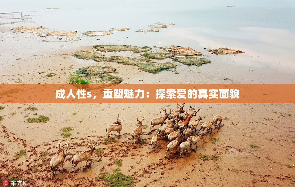 成人性s，重塑魅力：探索爱的真实面貌