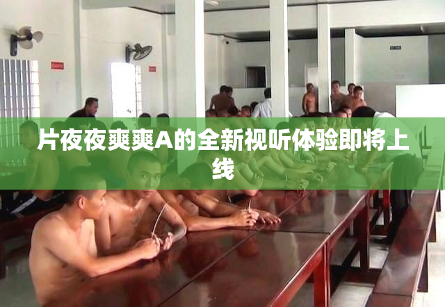 片夜夜爽爽A的全新视听体验即将上线