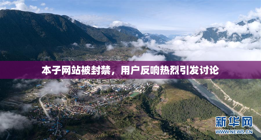 本子网站被封禁，用户反响热烈引发讨论