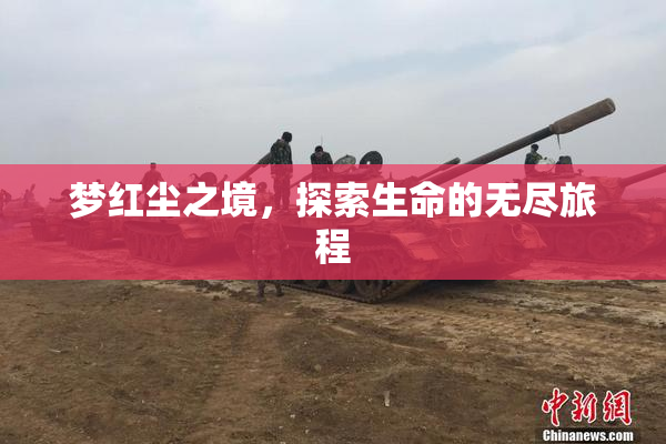 梦红尘之境，探索生命的无尽旅程