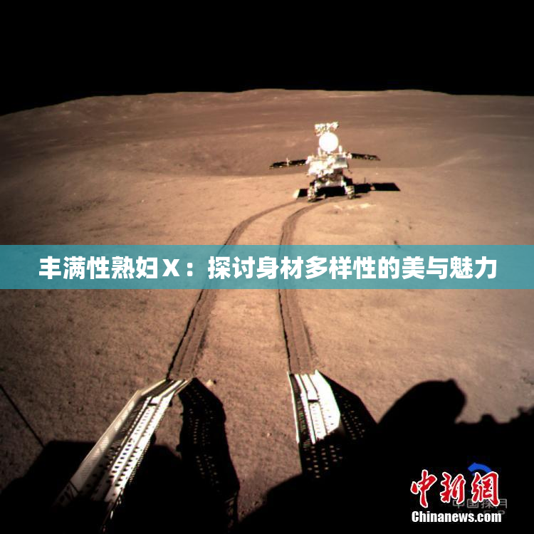 丰满性熟妇Ⅹ：探讨身材多样性的美与魅力