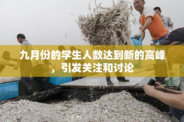 九月份的学生人数达到新的高峰，引发关注和讨论